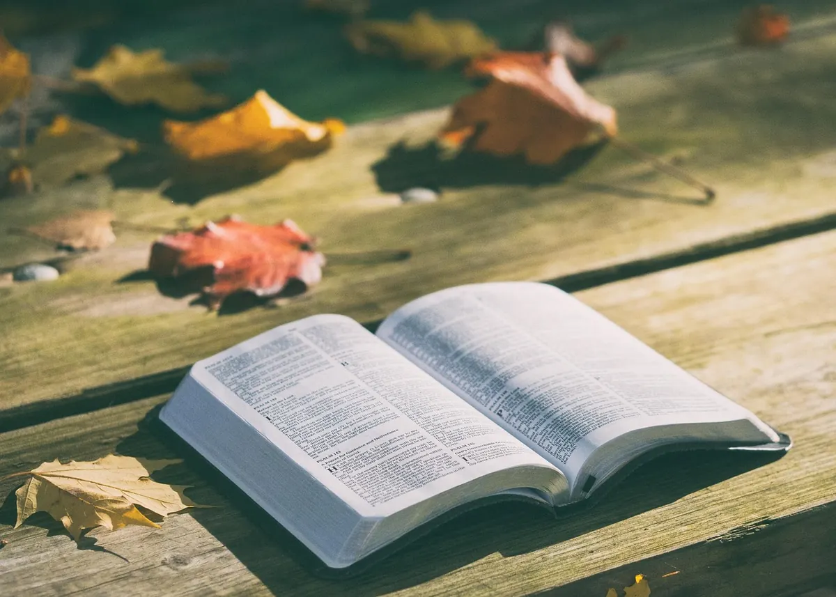 How to Organise a Local Book Launch in the UK: A Checklist for Self-Published Authors